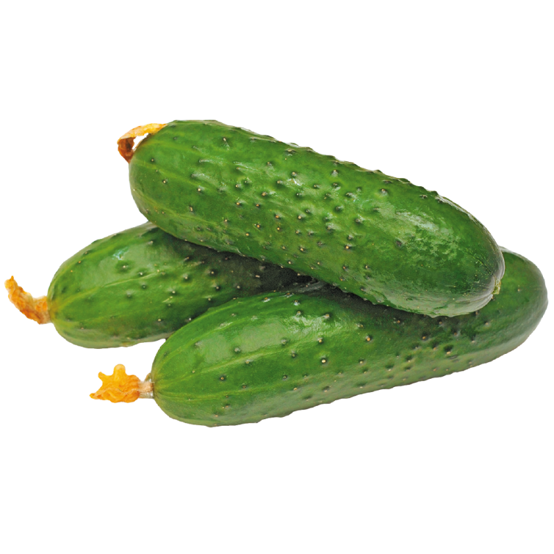 Свежий огурец 30 гр